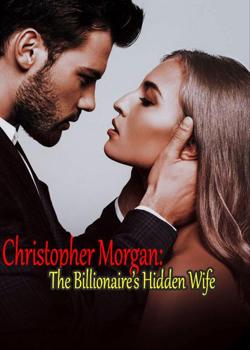 The Billionaire's Hidden Wife