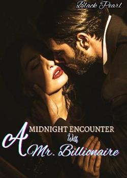 A Midnight Encounter With Mr Billionaire
