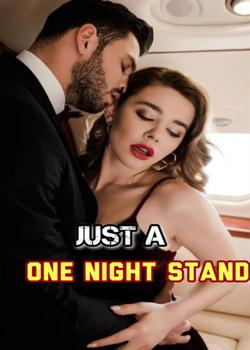 Just A One Night Stand