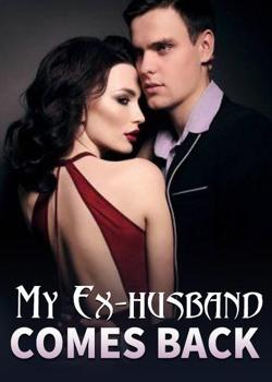 My Ex-husband Comes Back