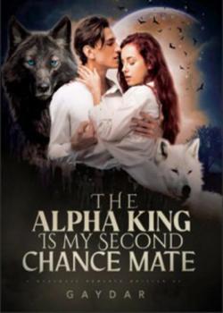 The Alpha King Is My Second Chance Mate