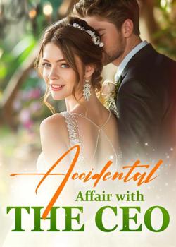 Accidental Affair with the CEO