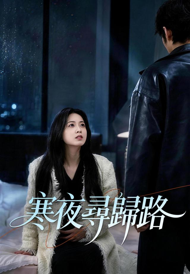 寒夜尋歸路