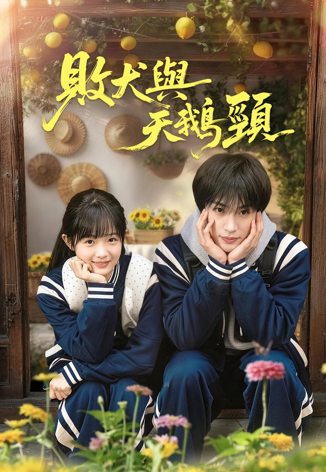 敗犬與天鵝頸