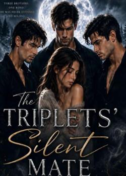 The Triplets' Silent Mate