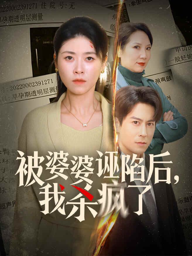 被婆婆诬陷后，我杀疯了