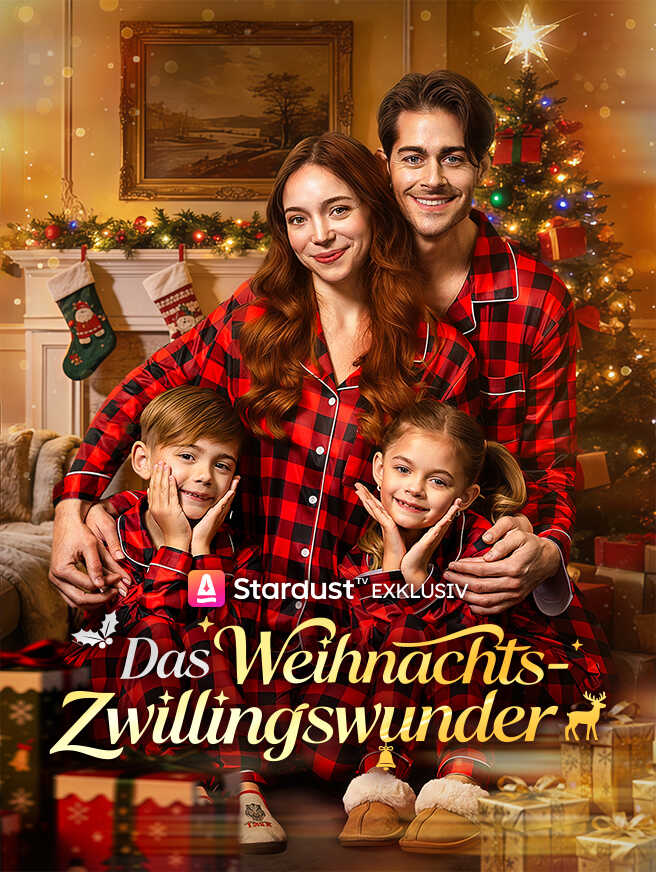 Das Weihnachts-Zwillingswunder