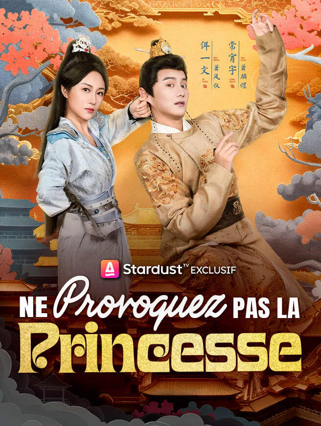 Ne Provoquez Pas la Princesse