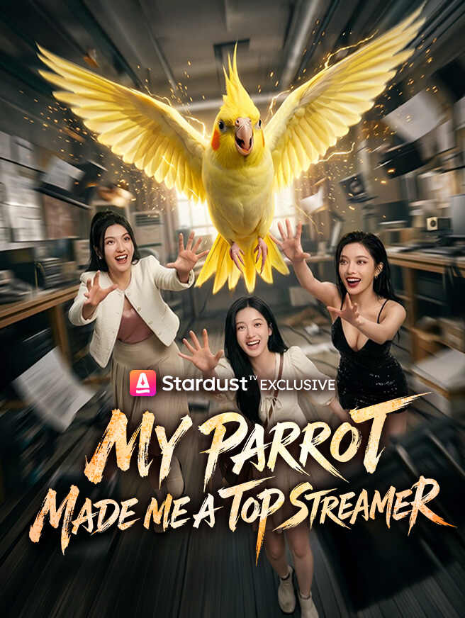 My Parrot Made Me a Top Streamer