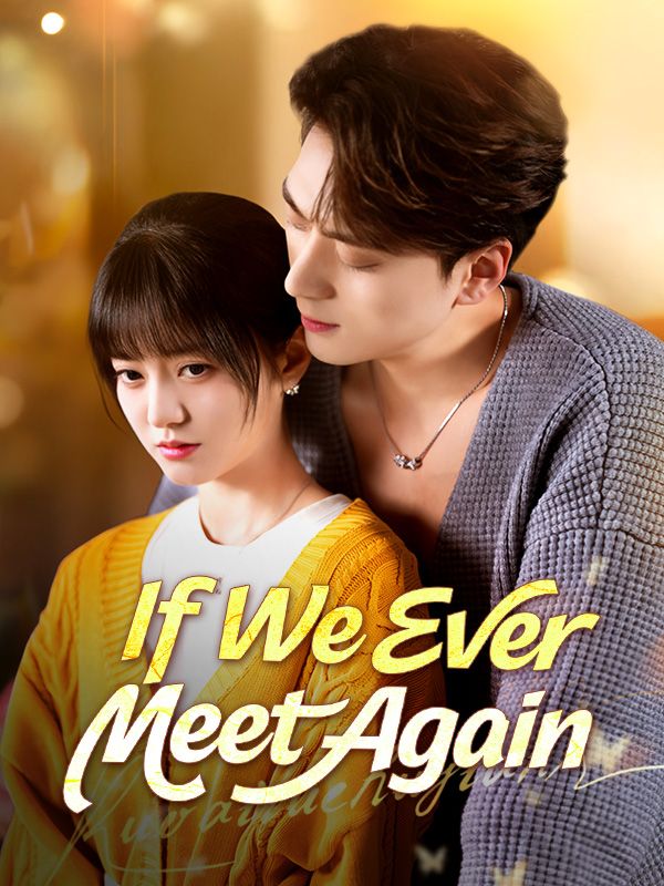 If We Ever Meet Again