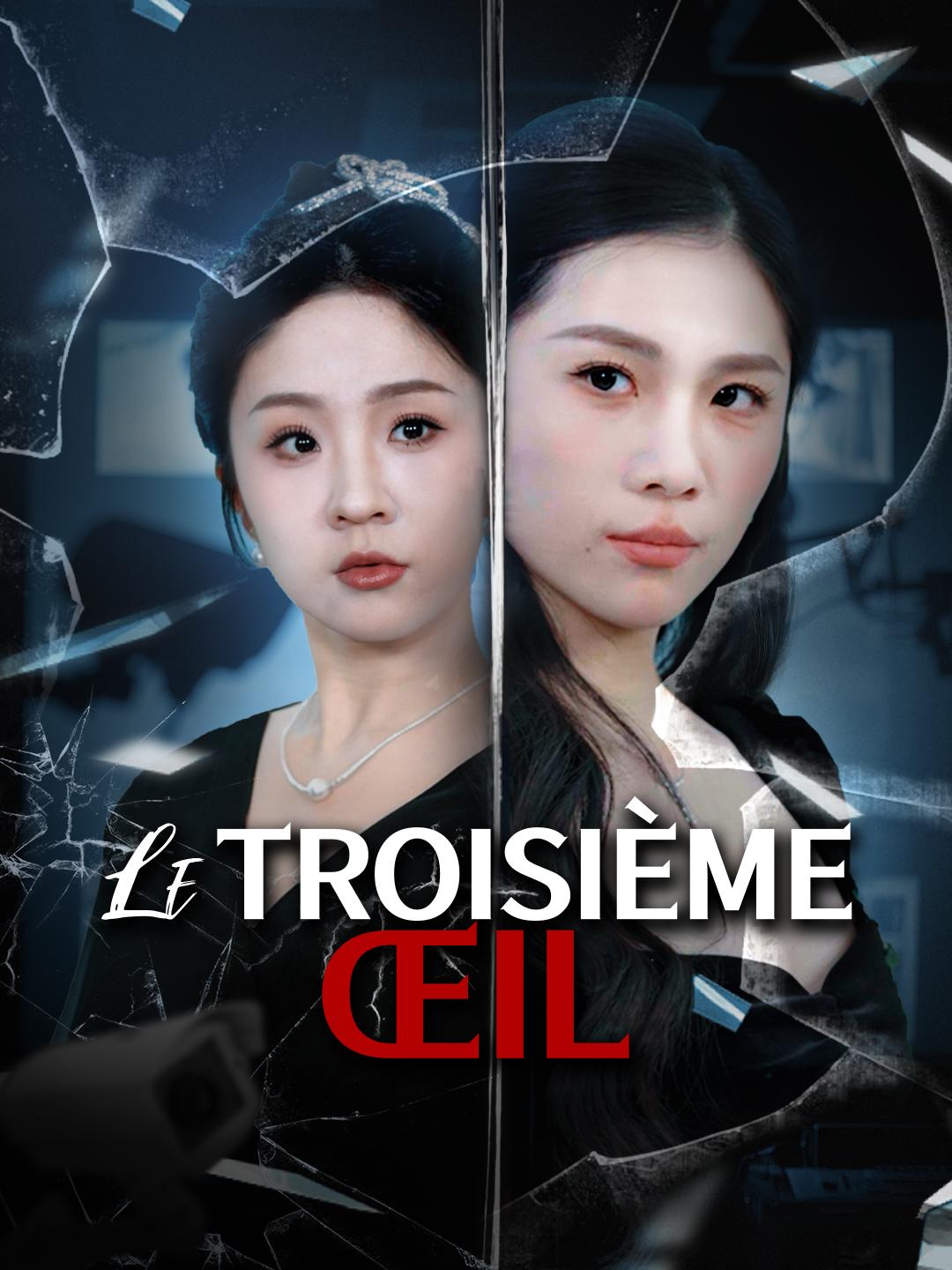 LE TROISIÈME ŒIL