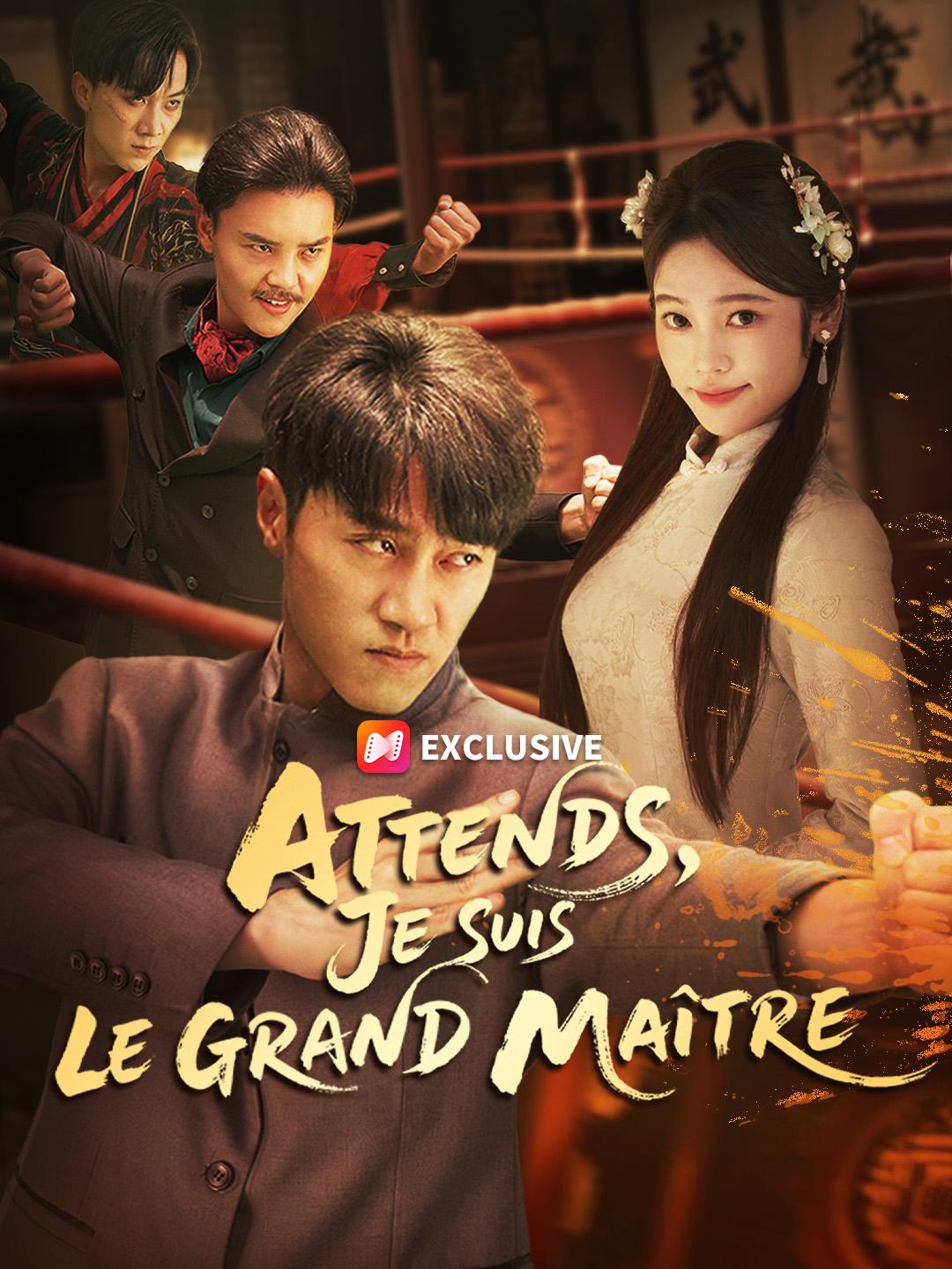 ATTENDS, JE SUIS LE GRAND MAÎTRE.