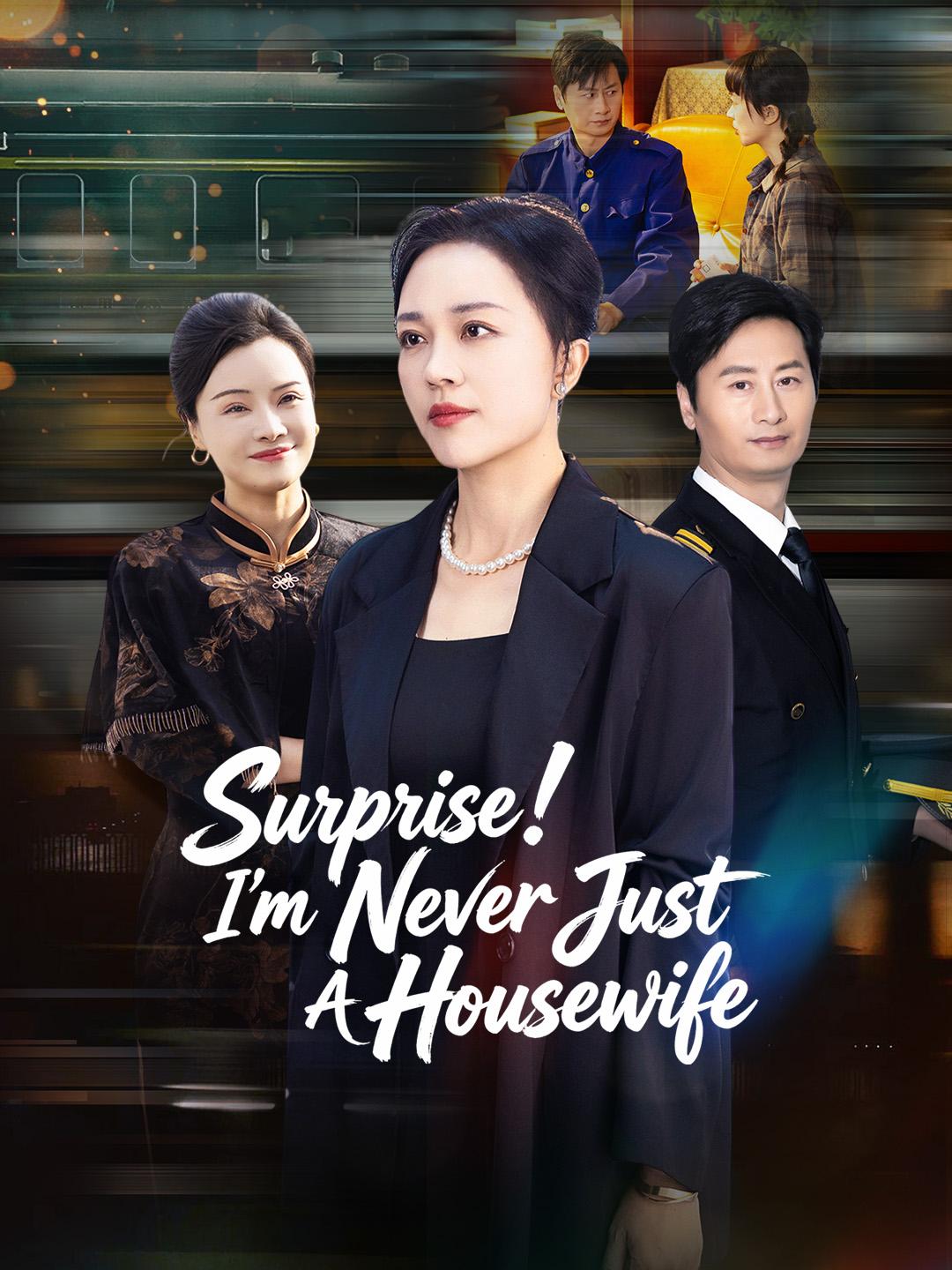 Surprise! I'm Never Just A Housewife