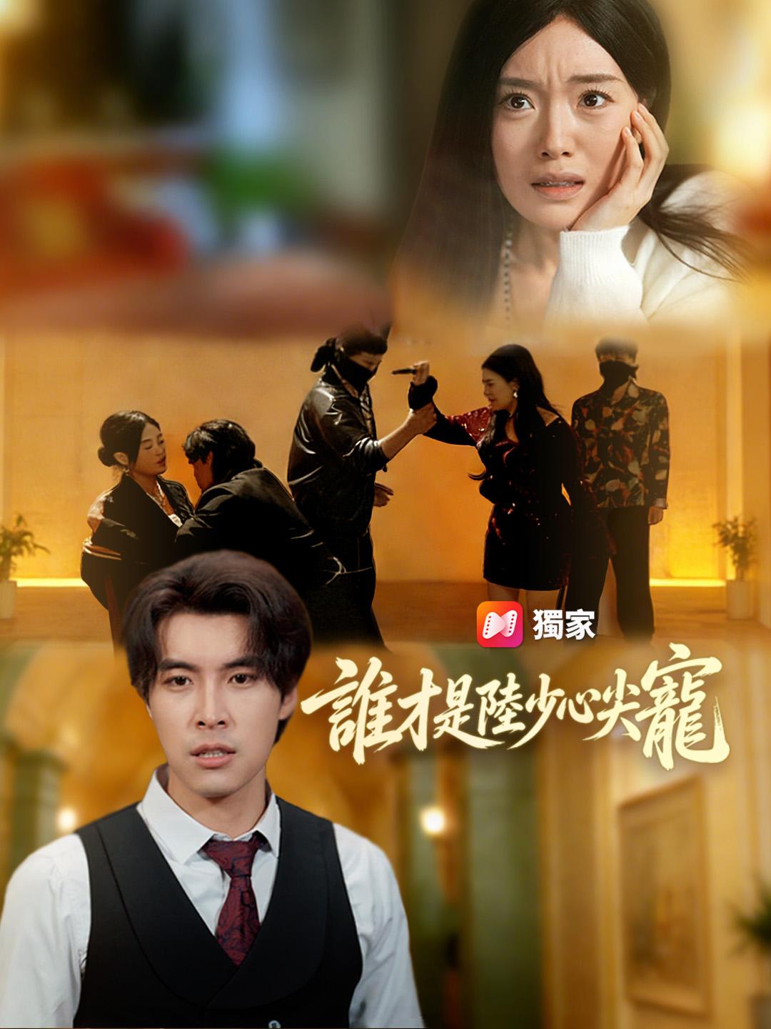 誰才是陸少心尖寵