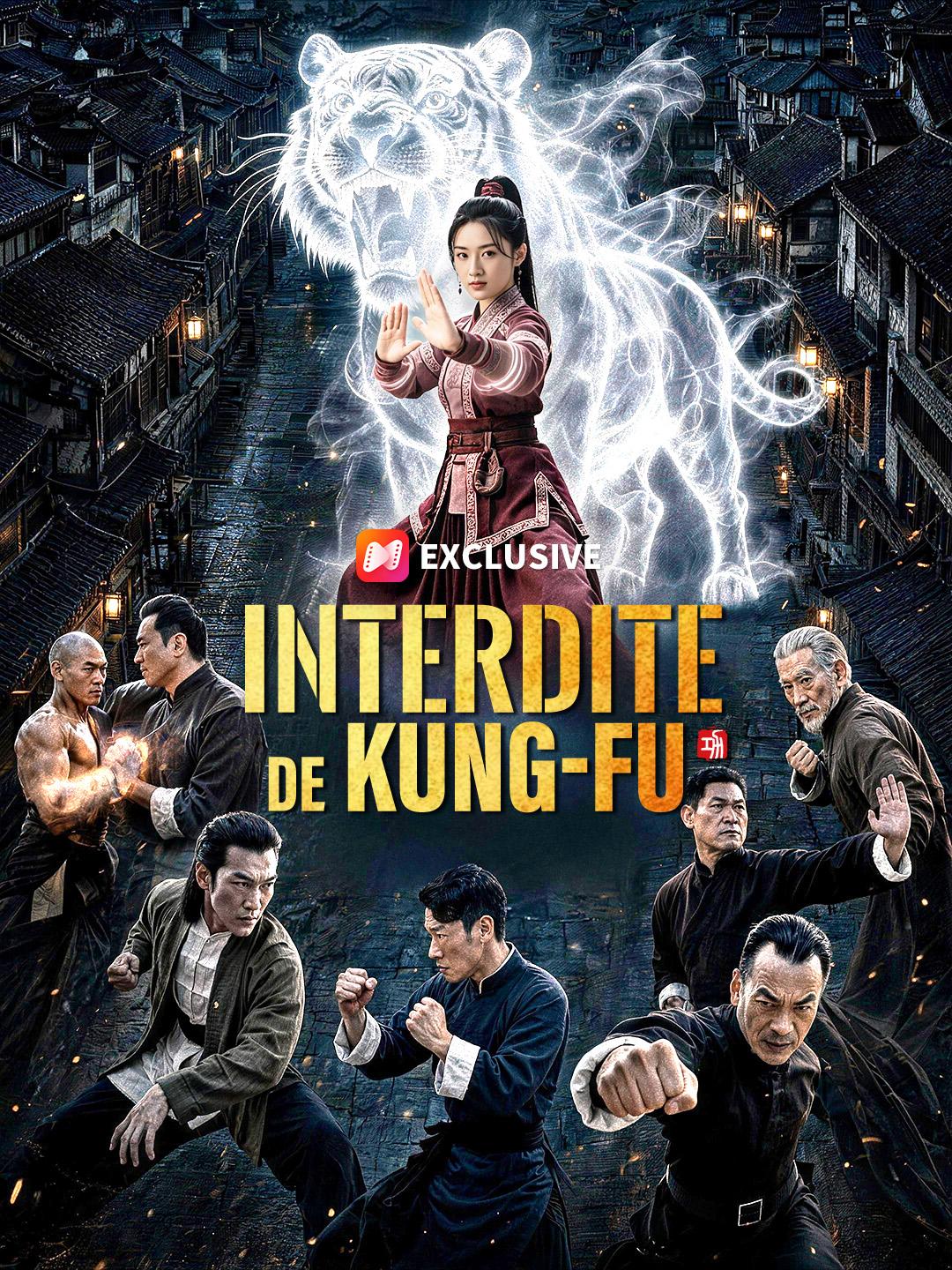 INTERDITE DE KUNG-FU