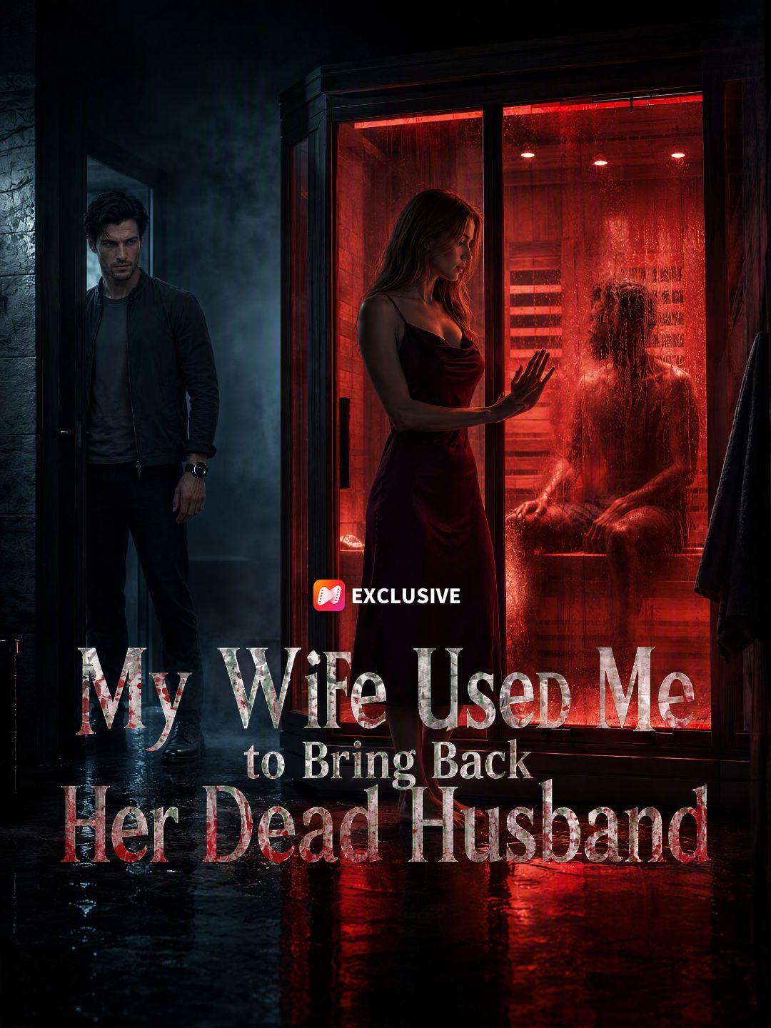 My Wife Used Me to Bring Back Her Dead Husband
