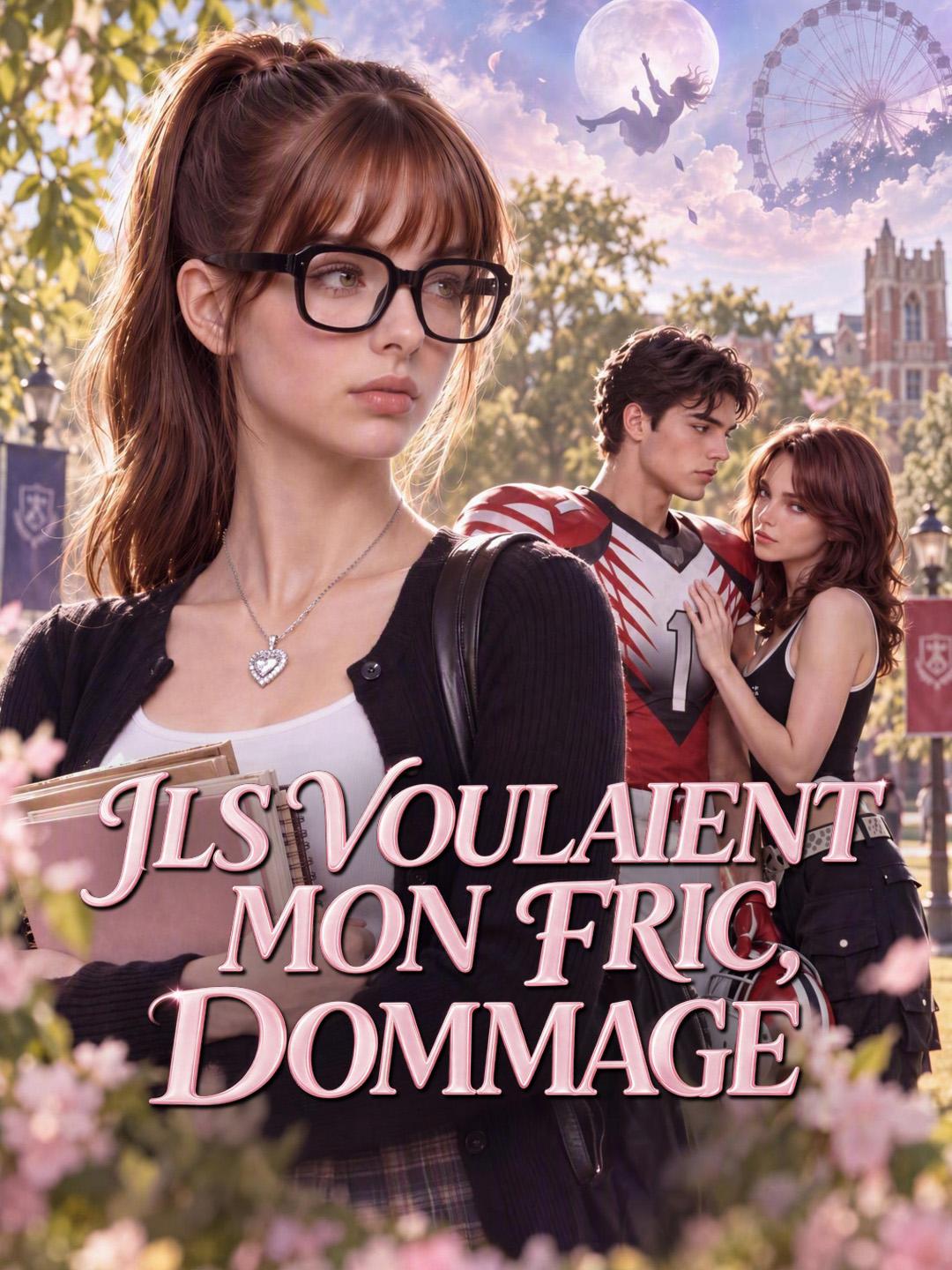 ILS VOULAIENT MON FRIC, DOMMAGE